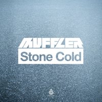 Northern Lights - Muffler