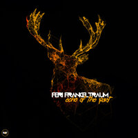 Hiding in Darkness - Feri & Frankeltraum