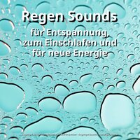 Asmr gegen Nachbarlärm - Regengeräusche zum Einschlafen Martin Jenton & Regengeräusche & Naturgeräusche