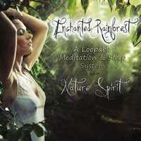 Canopy Recovery - Nature Spirit