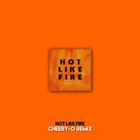 Hot Like Fire - Liam Summers & Natel