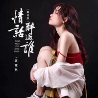 情话醉过谁 - 蒋蕙林