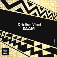 SAAM - Cristian Vinci