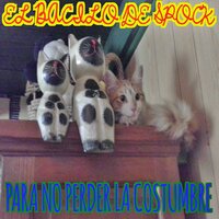Mosca De Miel - El Bacilo de spock