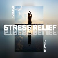 Meditation in Motion - Yoga Healing Sounds Unit