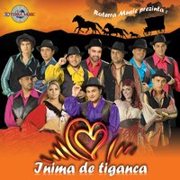 Inima De Tiganca - Copilul De Aur & Marius Olandezu & Bogdan Artistu'