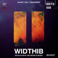 Without You - HAUNT YOU & Tigerberry
