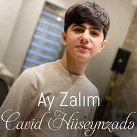 Dəlilər Kimi - Cavid Hüseynzadə