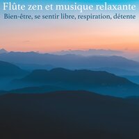 Haze Cleansing - Relaxation Détente & Musique Relaxante & Musique Zen