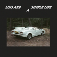 A Simple Life, Pt. II - Luis Ake