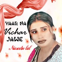 Tu Jinne Marzi Dukh De Le - Naseebo Lal
