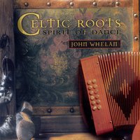 New York Jig/The Geese In The Bog - John Whelan