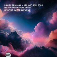 DE Phone Home - Daniel Erdmann & Organic Soulfood & Jim Hart & Antonin Rayon