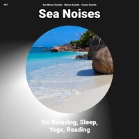 Sea Noises for Relaxing and Sleep Pt. 92 - Nature Sounds & Ocean Sounds & Sea Waves Sounds