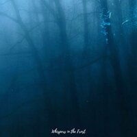 Whispers in the Frost - NovaSoul & Soul
