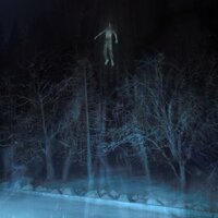 Blueberries - Daniel Romero