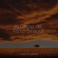 Gotas De Lluvia - Masaje Tantrico Musica Colección & Musica Meditaction & Relajante Academia de Música Zen