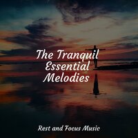 Background Music Therapy - Study Power & Deep Sleep Music Academy & Hipnose Natureza Sons Coleção