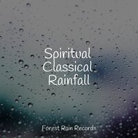 Bonfire in the Woods - Sleep Sound Library & Natureza Musica Bem-Estar Academia & Thunderstorms
