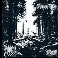 Shotgun - Мёртвая Тайга