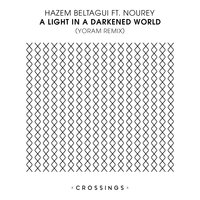 A Light In A Darkened World - Hazem Beltagui & Nourey & Yoram