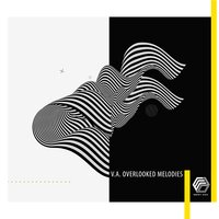 Nonsense - Serdar Ors