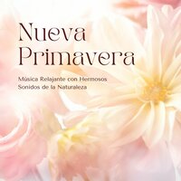 Mindfulness Meditation Nature Music - Naturaleza Ensemble