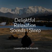 Tranquility - Big Sounds & Relajantes sonidos de lluvia & Music to Relax in Free Time