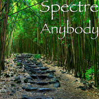 Anybody - Spectre