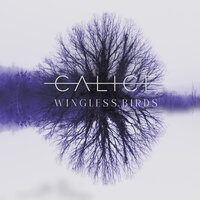 Wingless Birds - CALICE