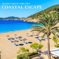 Chill House Grooves - DJ Deep House Chillout