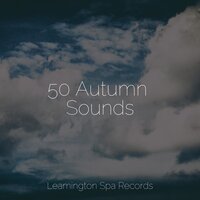 Soothing Winds - Life Sounds Nature & Brain Study Music Guys & Baby Sleep