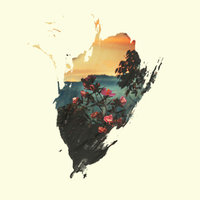 Lost In The Sky - edapollo
