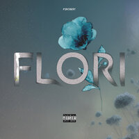 Flori - P2Robert