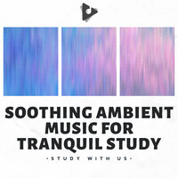 Soft Words, Kind Heart - Study With Us & Focus Study