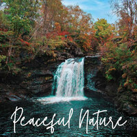 Lethargic Outpours - Nature Noise & Natures Orchestra & Nature of Sweden