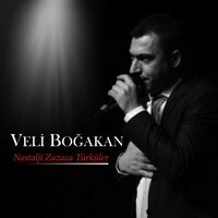 Gidemedim - Veli Boğakan