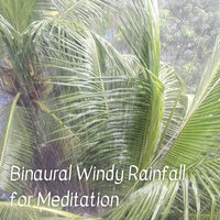Shore Waves - The Sound of the Rain & Outdoor Field Recorders & Meditation and Relaxation