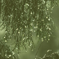 Artistic Piano Music with Rain Sounds - Vibe for Rain and Thunderstorms - Charming Rain and Thunder Sounds