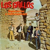 Señora Chichera - Los Grillos