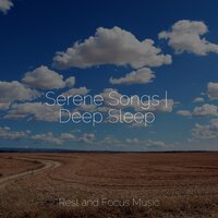 Gentle Sway - The White Noise Zen & Meditation Sound Lab & Meditation & Stress Relief Therapy & Reiki Music