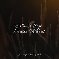 Trickling Water - Sleepy Times & Oasis de Détente et Relaxation & Ocean Sounds