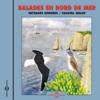 Goélands argentés le long de la falaise - Frémeaux Nature