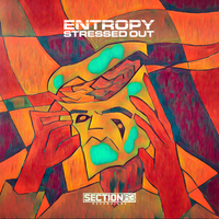 The Past - Entropy