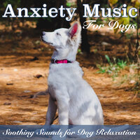 Overwhelming Love - RelaxMyDog & Dog Music Dreams & Relax My Puppy & Pet Music Therapy