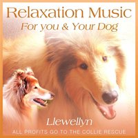 A Glimpse of Paradise - Llewellyn