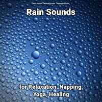 Rain Sounds Pt. 64 - Nature Sounds & Rain Sounds & Regengeräusche