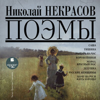 Николай Алексеевич Некрасов. «Поэмы». Часть 75 - Вячеслав Герасимов