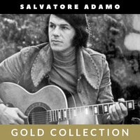 N'est-ce pas merveilleux - Salvatore  Adamo