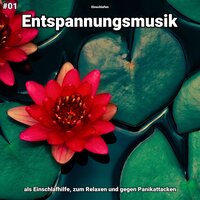 Entspannungsmusik pt. 64 - Einschlafen